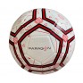 PARAGON ASPIRE SIZE 5 SOCCER BALL (FOOTBALL), 