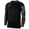 Nike Park IV Goalkeeper Jersey Black Adult Large