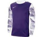 Nike Park IV Goalkeeper Jersey Court Purple Adult Large