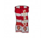 Arsenal FC True Colours Car Sign
