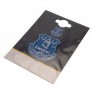 Everton FC Fridge Magnet