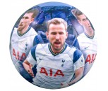 Tottenham Hotspur FC Players Photo Football Size 5