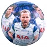 Tottenham Hotspur FC Players Photo Football Size 5