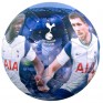 Tottenham Hotspur FC Players Photo Football Size 5