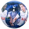 Tottenham Hotspur FC Players Photo Football Size 5