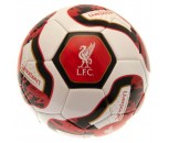 Liverpool FC Size 5 Football Red/Black/Gold